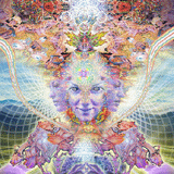 Meora - Preview Proggy/PsyProg