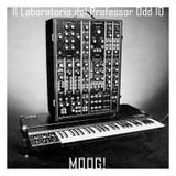 Il laboratorio del Professor Odd 10 - Moog!
