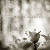 Azizy - Blurry Sunbeams