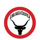Goulasch Exotica djs live Balatonsound vol I. 2010