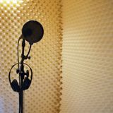 Lumea dintre urechi: Doi prieteni foarte buni