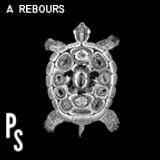 Picky shuffle- A rebours