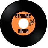 SpydaT.E.K. StrangeBirdsRadio Mix