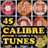 45 Calibre Tunes, Vol. 2 (Reggae 45s)