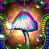 Progressive Psytrance Set - Oman Party June 2013