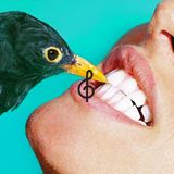 Aquecimento Franz Ferdinand by Tecla Music Agency for Queremos!