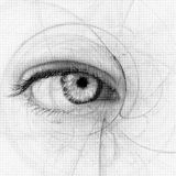 Salient - Perceptions