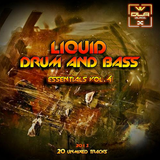 Various Artists - Liquid D&B Essentials 2013 Vol.4 (Album MegaMix)