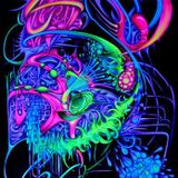 Dr.Psylab aka Acantha Psy - Progressiv LAB