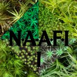 PAUL MARMOTA LIVE SET @ N.A.A.F.I #1