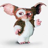 Rigigooo