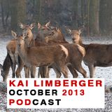 Kai Limberger Podcast October 2013