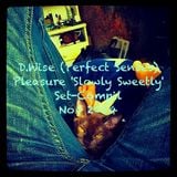 D.Wise (Perfect Senses) Pleasure 'Slowly Sweetly' Set-Compil Nov 2014.