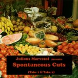 (EGAMIMIX002) V.A. - Julious Marvesol presents… - Spontaneous Cuts, Take2 - 2010