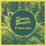 SPRING BUMPED