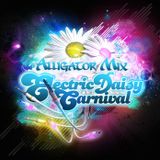 Electric Daisy Carnival - Hype Mix