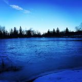 January Electronica selection