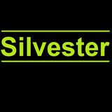 Silvester 2011