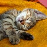 Lullabies for future music lovers #3