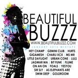 Beautiful Buzzz - January 2013 Mix