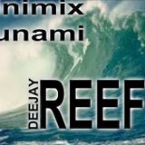 DJ REEF MINIMIX TSUNAMI