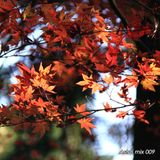 Astro mix 009 - Mixed at 14th Sep. 2010