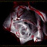 Noises of Russia - An Apocalyptic Prologue