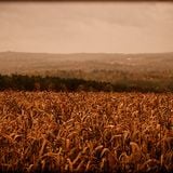 Autumn Balearic Heat