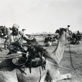 MEKTOUB CARAVANE CAFÉ