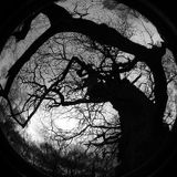 Deep Senses 006