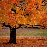 october mix
