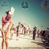 MidBurn 2014 - Genesis (The First Burning man In Israel)