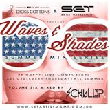 Dicks Cottons - Waves & Shades V6 (Mix by DJ Schuller - SET)