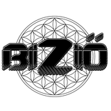 VERSION 2: The Evolution - Bizio's 2015 Promo Mix