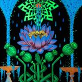 PsillyMi vs Mindtrixx 420 Groovy Beats!