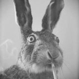 DJ Rabbyt Mix Vol. 9