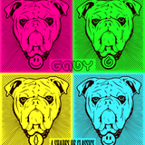 G.A.B.Y | 4 SHADES OF CLASSICS (Wooferland contest mix)