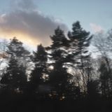 LeS MiGRaTioNS | oN THe RoaDzzZ____