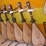 BLUEGRASS 26