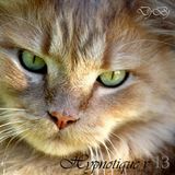 Hypnotique v13