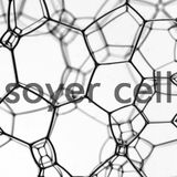 CELL