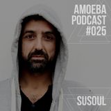 Amoeba Label Podcast 025 :: Susoul