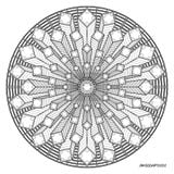 tMS1 - Disclosure