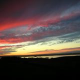 At the End of the Night (FMC #8)