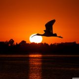 Dave Catalyst Studio Mix - April 2015