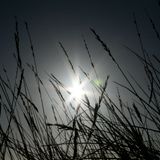 Marek Hemmann House Mix April 2012