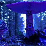 Dark Forest Psy Mix 1 2012