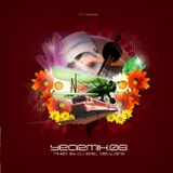 Topradio's Yearmix 2006 - mixed by Roel Dieltjens