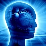 IN-TACK_Extatik Perception