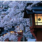 アカギの日本#1 Mix